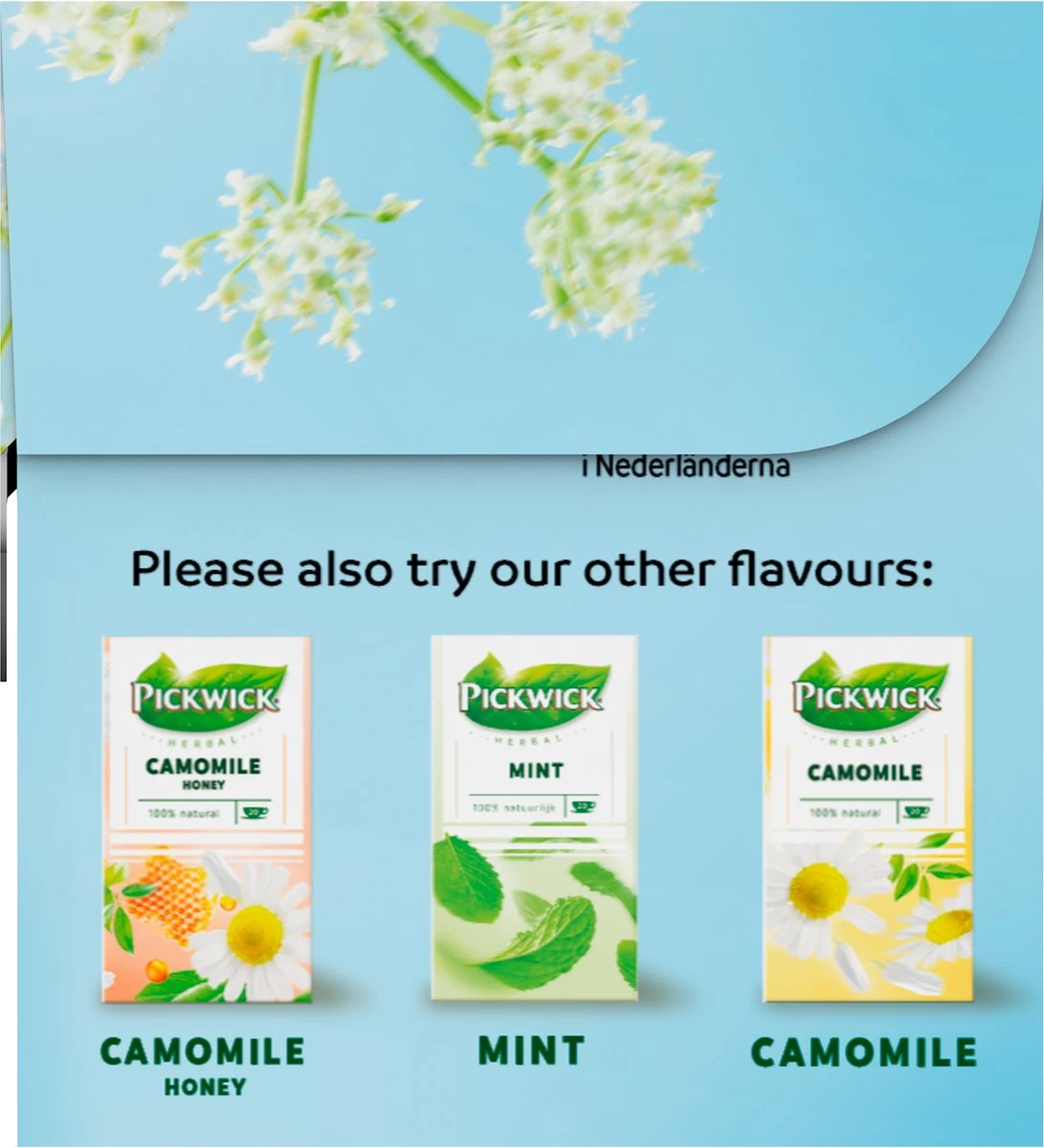Pickwick Sterrenmunt Kruidenthee - 4 X 20 Zakjes - Afbeelding 8