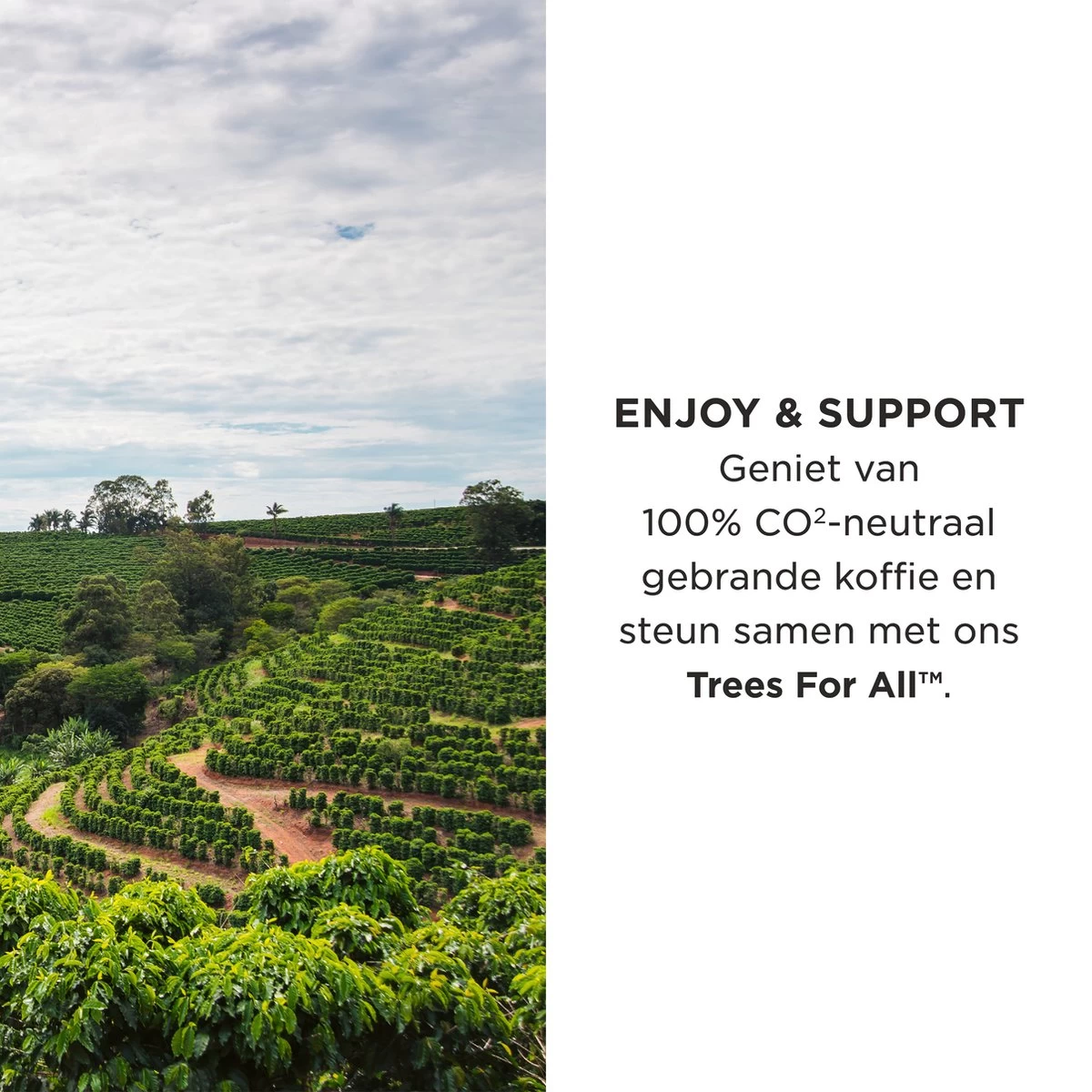 Aroma Club - Krachtige Koffiebonen 1KG - No. 3 Strong George - Koffie Intensiteit 5/5 - Afbeelding 3