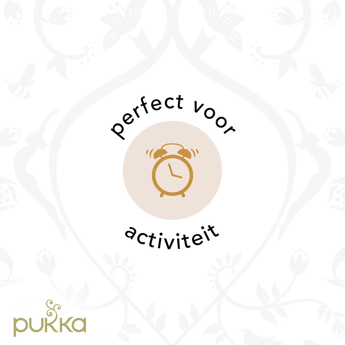 Pukka Active Kruidenthee Geschenkdoos - 5 Blends Biologische Kruidenthee, Ook Leuk Als Verjaardagscadeau - 45 Zakjes - Theedoos - GB-BIO-05 - Afbeelding 8