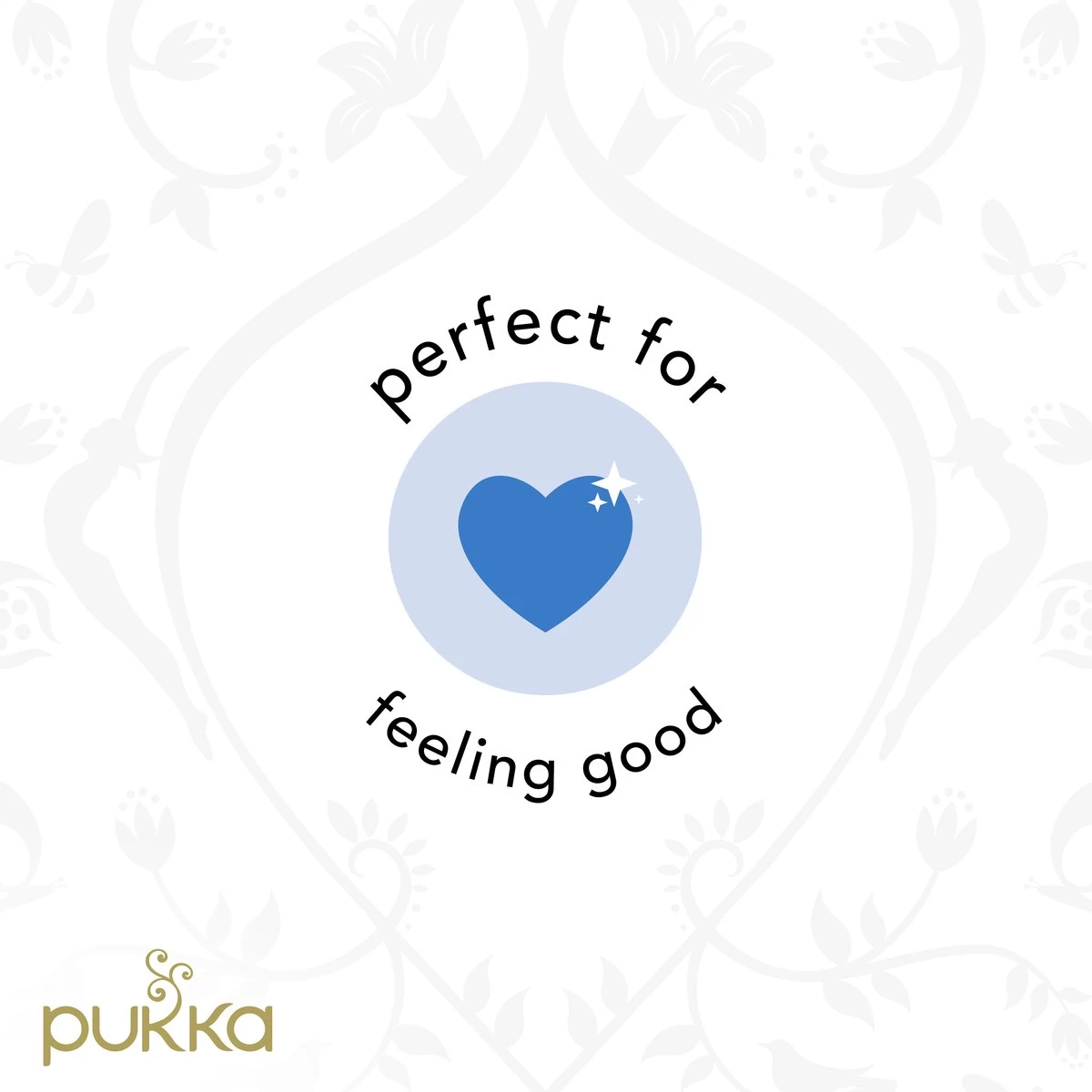 Pukka Feel New Thee, Met Anijs- En Venkelzaad - 4 X 20 Zakjes - GB-BIO-05 - Afbeelding 5