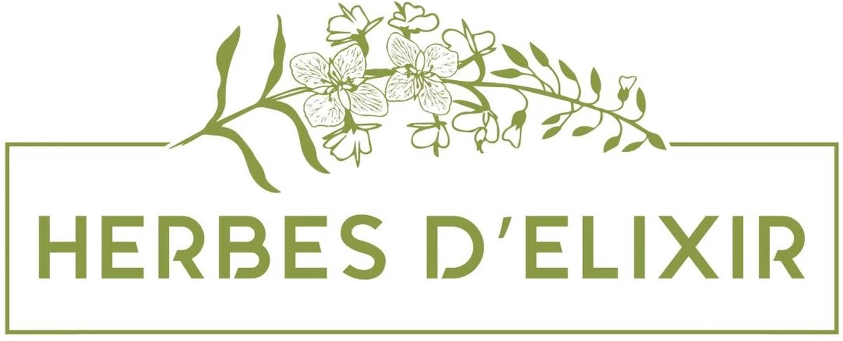 Luchtwegen Kruiden - Kruidenthee - Losse Thee - 100 Gram - Afbeelding 3