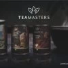 Teamasters Giftbox - Thee Geschenkset - Kerstpakket - Thee - Herbal Chai - Herbal Rooibos - Groene Thee - Perzik - Appel - Kerst - Geschenkset