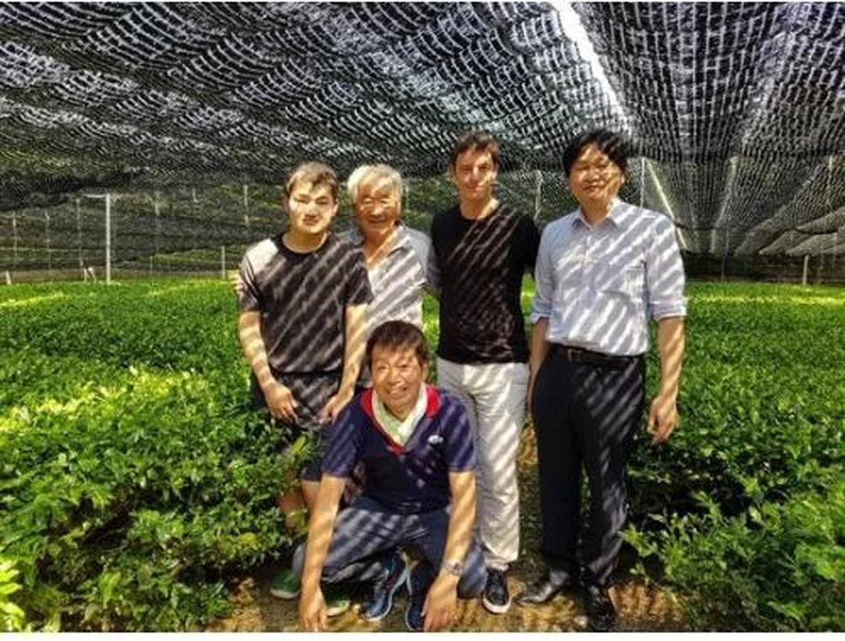 Japanse Premium Matcha Thee - 50 Gram - Inclusief Matcha Klopper - Vol Met Antioxidanten, Vitaminen & Mineralen - Vandaag Besteld, Morgen In Huis! - Afbeelding 6