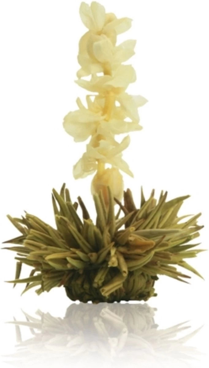 Creano Theebloemen Geschenkset Kadoverpakking Theebloemen En Glazen Theekan - Witte Theebloemen En Zwarte Theebloemen (6 Stuks) - Afbeelding 8