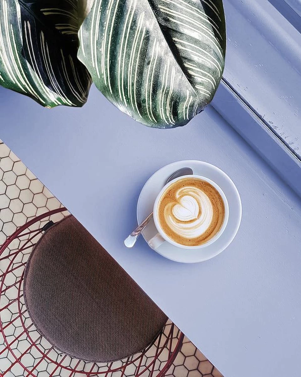 CHALO Prijswinnende Masala Chai Latte - Indische Vegan Chai - Zwarte Assam Thee - 25 Porties/ 300GR - Afbeelding 7