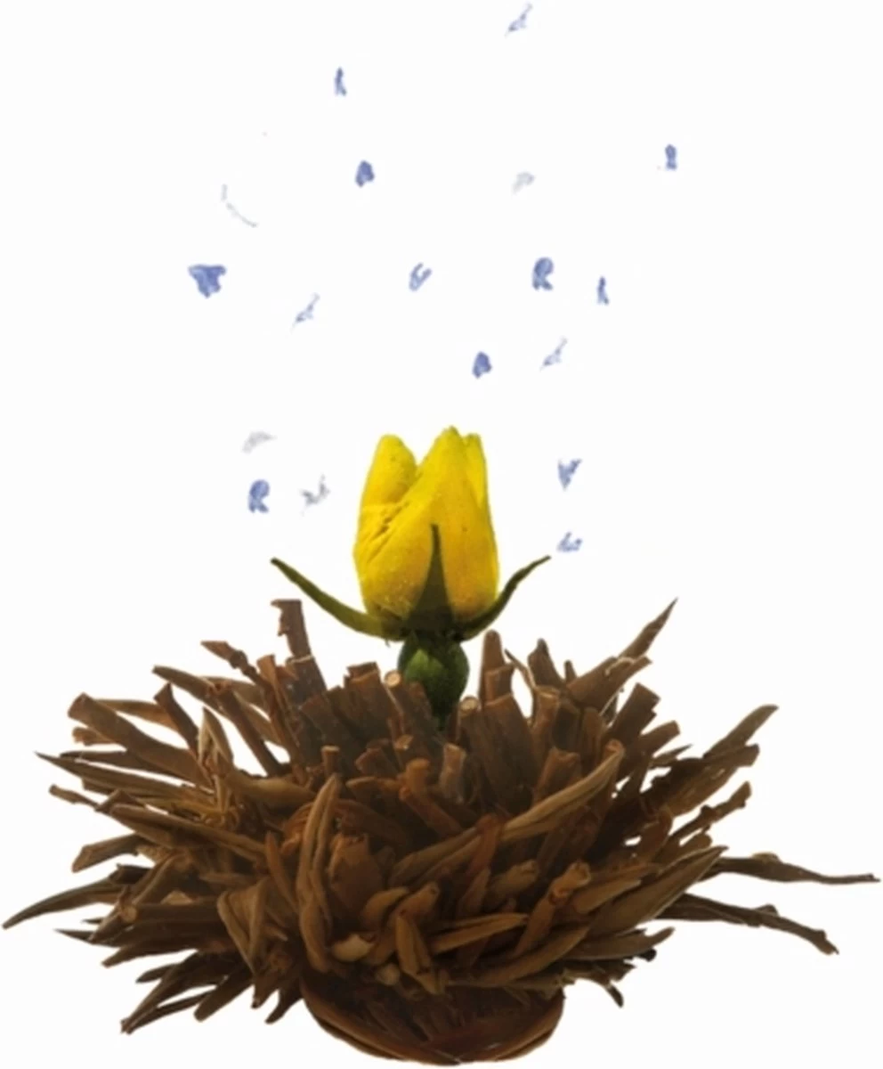 Creano Theebloemen Geschenkset Kadoverpakking Theebloemen En Glazen Theekan - Witte Theebloemen En Zwarte Theebloemen (6 Stuks) - Afbeelding 5